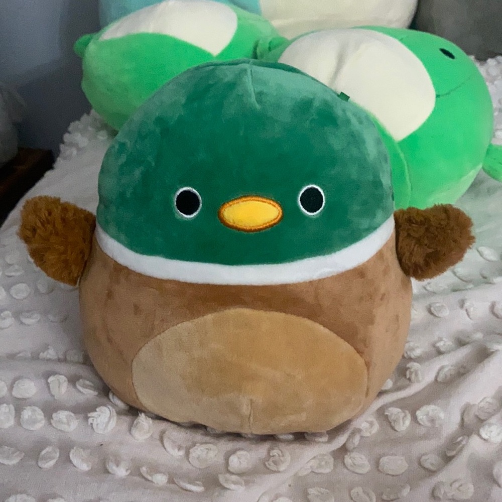 NEW Avery the Duck Squishmallow